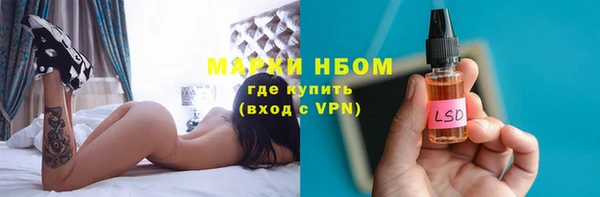 бошки Алексин