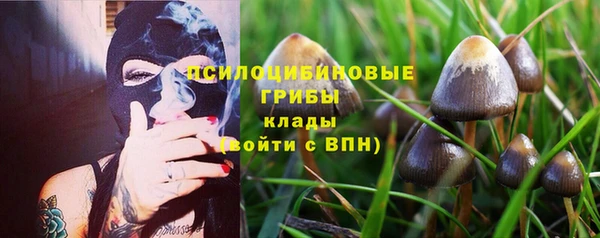 бошки Алексин