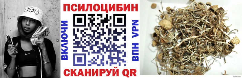 Галлюциногенные грибы Psilocybe  Калининск 